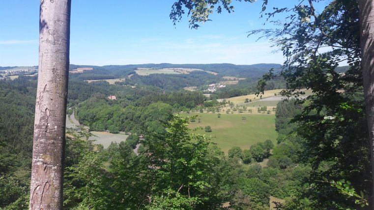 Eine malerische Aussicht auf grüne Hügel und Wiesen. Im Hintergrund sind bewaldete Berge und ein klarer blauer Himmel zu sehen.