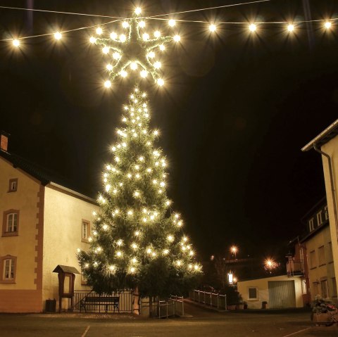 Weihnachtsbaum in Waxweiler, © Fritz Knob