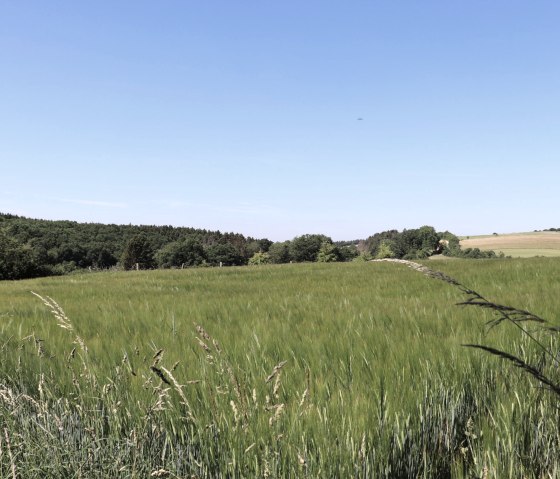 Islek - Hiking trail 15, © Tourist-Information Islek