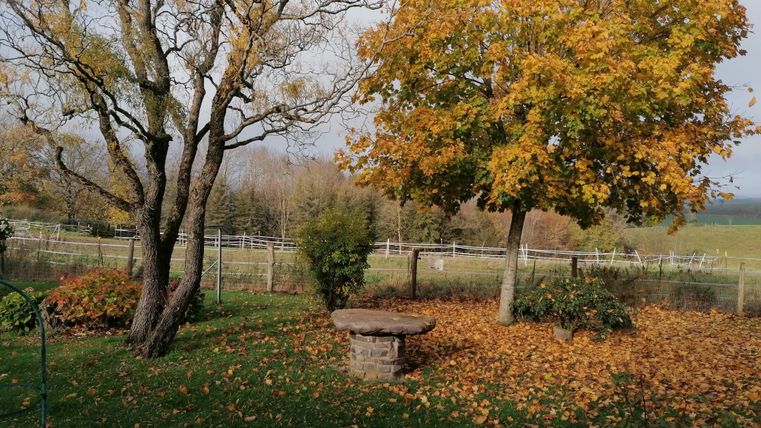 A beautiful garden with a stone table and colorful autumn leaves. In the background, trees and a fenced meadow can be seen.