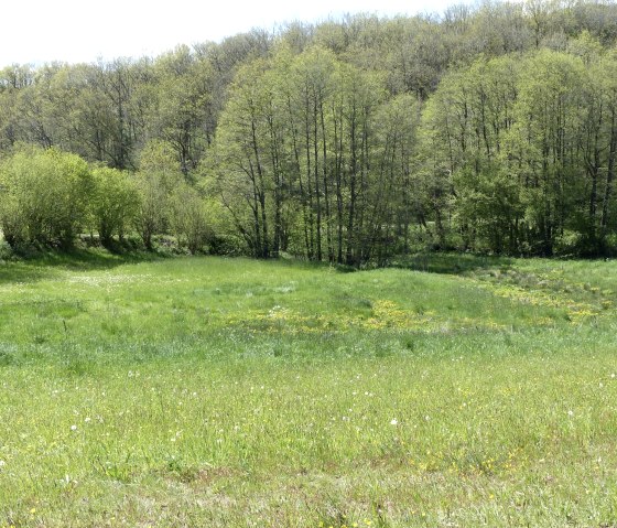 Dierbachtal, &copy; Tourist-Information Islek