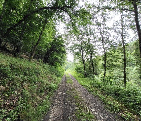 Schöner Waldweg am Mühlbach, © Tourist-Information Islek