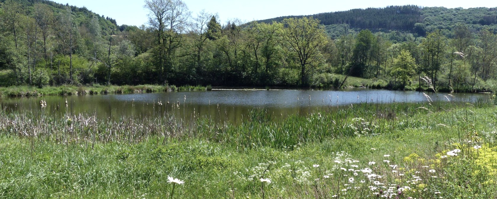 GPS-Tour, Stausee Irsental, © Tourist-Information Islek, Ingrid Wirtzfeld