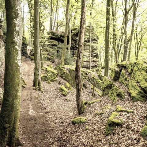 Grüne Hölle, © Eifel Tourismus GmbH, D. Ketz
