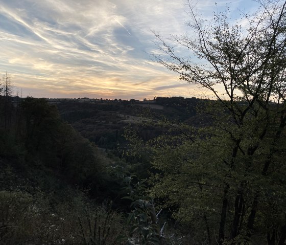 IMG_4033, &copy; Ingo Kleis