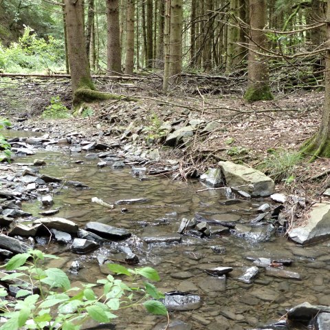 Dierbach, &copy; Tourist.-Information Islek