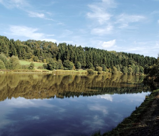 Arzfeld reservoir, © Thomas Brunker
