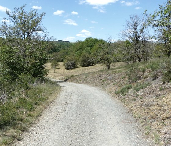 Hiking trail no. 15 near Irrhausen, © Tourist-Info Islek