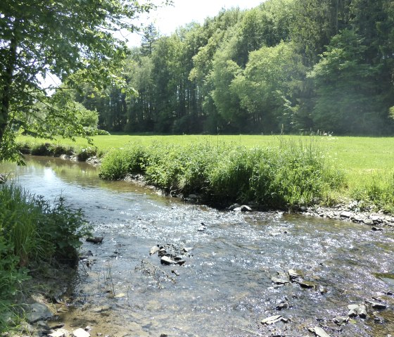 An der Irsen, &copy; Tourist-Information Islek, I. Wirtzfeld