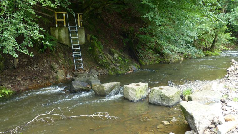 Trittsteine über einen Fluss mit Leiter am Ufer.