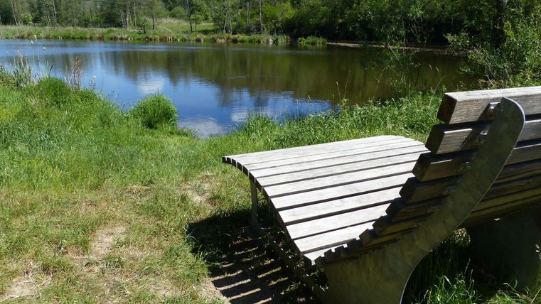 Eine moderne Bank steht am Ufer eines ruhigen Teiches. Im Hintergrund sind grüne Bäume und sanfte Hügel zu sehen.