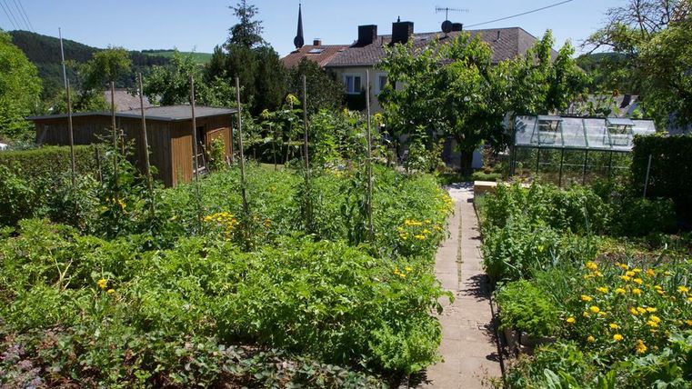 Un jardin potager coloré avec de nombreuses plantes et fleurs. En arrière-plan, on peut voir quelques maisons et arbres.