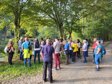 Eine Gruppe von Menschen steht auf einem Waldweg und diskutiert miteinander. Im Hintergrund sind Bäume und eine grüne Umgebung zu sehen.