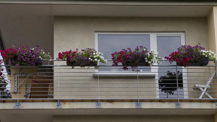 Un balcon avec des jardinières colorées et une structure de garde-corps moderne. Les plantes de différentes couleurs créent une atmosphère accueillante.