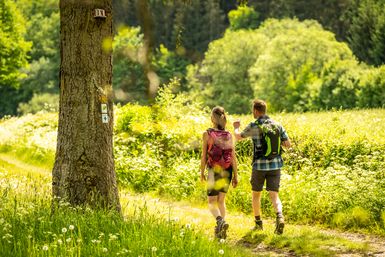Wanderer im Naturpark Südeifel