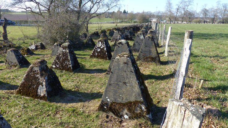 Eine Gruppe von groben, dreieckigen Steinen steht auf einer grünen Wiese. Im Hintergrund sind einige Bäume und ein Zaun sichtbar.