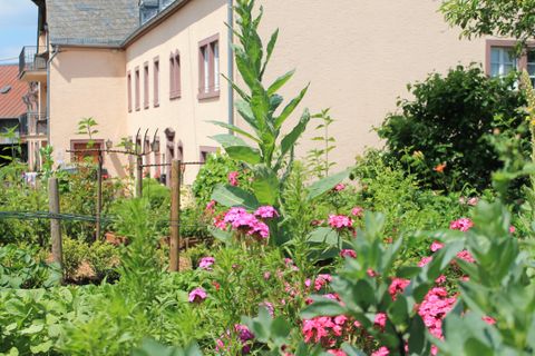 Ein schöner Garten mit bunten Blumen und grünen Pflanzen. Im Hintergrund ist ein helles Gebäude mit Fenstern zu sehen.