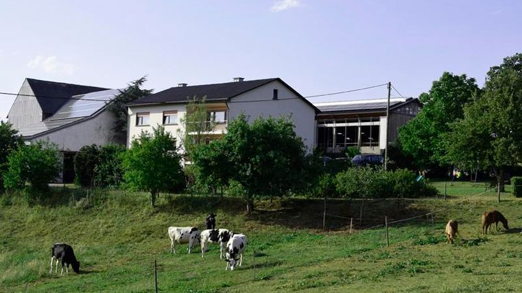Ein Bauernhaus umgeben von Grünflächen und Bäumen. Im Vordergrund grasen einige Kühe auf der Wiese.