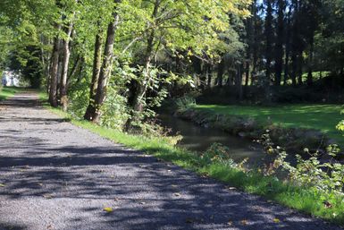 Ein gemeinsamer Weg neben einem kleinen Bach, umgeben von Bäumen. Die Sonne scheint durch das Laub und schafft eine friedliche Atmosphäre.