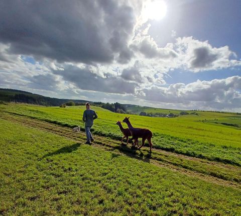 Ein Mann läuft mit zwei Lamas auf einem grünen Feld. Der Himmel ist bewölkt, und die Sonne scheint durch die Wolken.