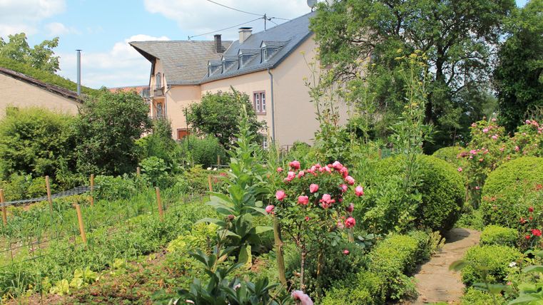 Ein schöner Garten mit bunten Blumen und Gemüsebeeten. Im Hintergrund ist ein Haus und Bäume zu sehen.