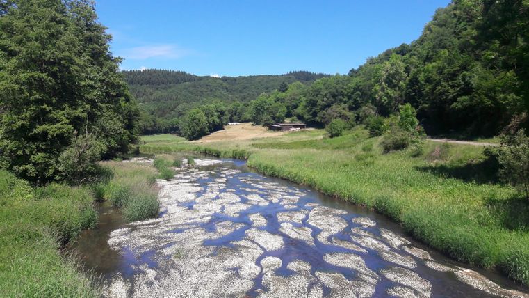 Ein ruhiger Fluss fließt durch eine grüne Landschaft mit dichter Vegetation. Im Hintergrund sind Hügel und ein blauer Himmel sichtbar.