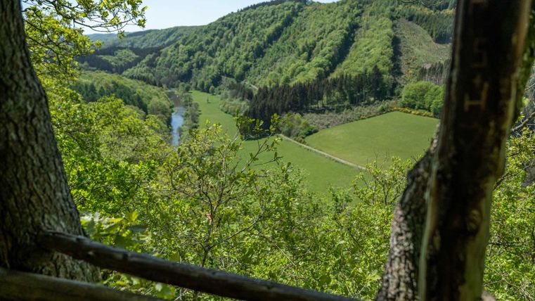 Blick von der Königslay über das Ourtal