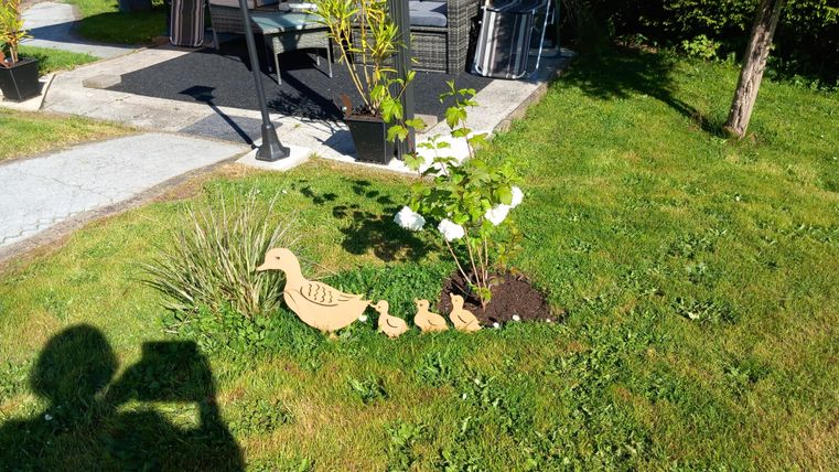 Ein gepflegter Garten mit einer Gruppe aus Holz geschnitzter Enten und einem kleinen Baum. Im Hintergrund sind Möbel auf einer Terrasse zu sehen.