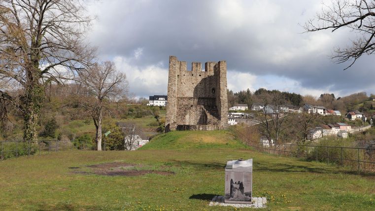 An old castle ruin stands on a hill, surrounded by green grass and trees. In the foreground, there is an information sign.