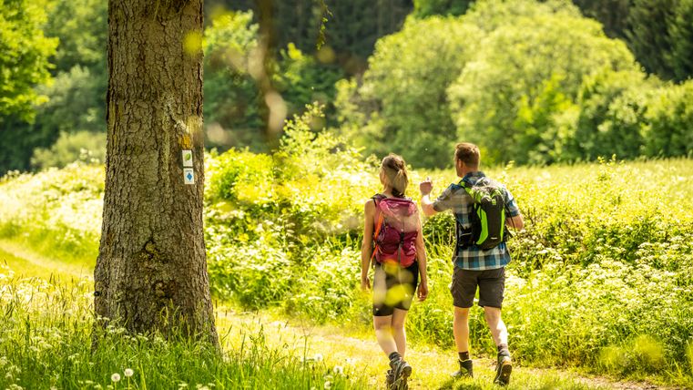 Zwei Wanderer unterwegs im grünen Tal