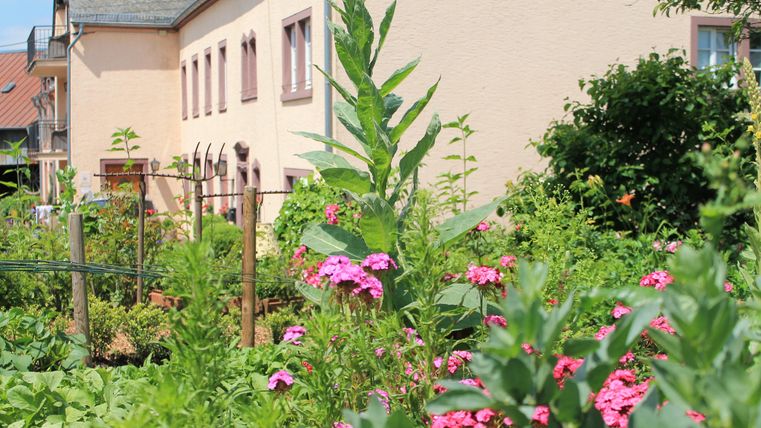 Ein schöner Garten mit bunten Blumen und grünen Pflanzen. Im Hintergrund ist ein helles Gebäude mit Fenstern zu sehen.