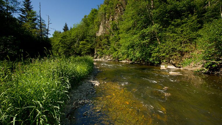 Fluss Our in bewaldeter Landschaft mit klarem Himmel.