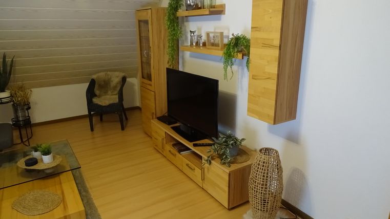 Ein gemütlicher Wohnraum mit Holzregalen und einem Fernseher. Der Boden ist aus Holz und es gibt einige Pflanzen für eine einladende Atmosphäre.