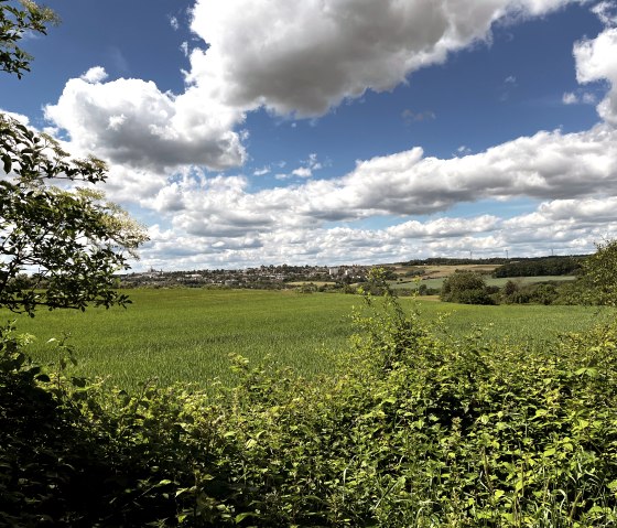 Green fields stretch out under a cloudy sky. Hills and a settlement can be seen in the background, framed by trees., © TI Bitburger Land
