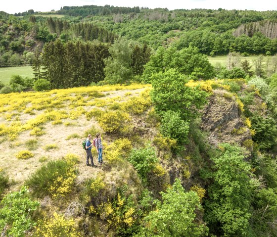 Two hikers on a hill with yellow broom, surrounded by a green forest landscape. Viewpoint on the Eifelgold route., © Eifel Tourismus GmbH, Dominik Ketz