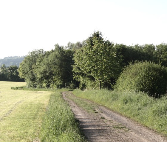 Hiking trail no. 15, © Tourist-Information Islek