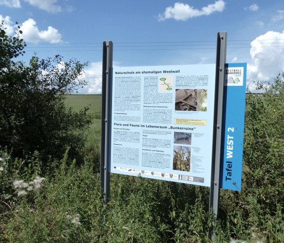 Plaquette op de Westwall wandelroute (West), © Tourist-Info Islek