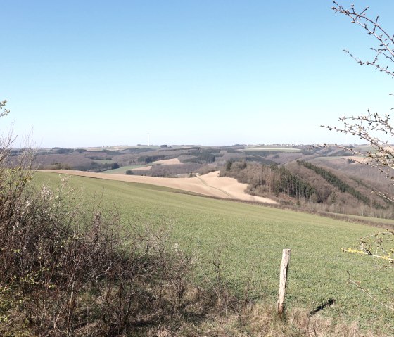 Wandelroute 1 bij Dahnen, © Tourist-Info islek