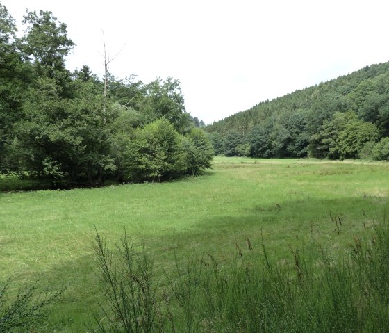Stream meadow on the Irsen, &copy; Tourist-Information Islek