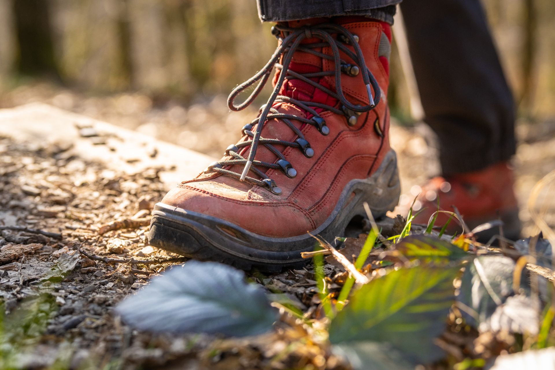 Ein roter Wanderstiefel setzt auf einem naturbelassenen Waldweg auf, im warmen Licht mit unscharfem Hintergrund.