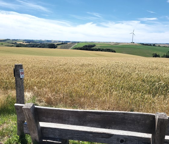 Wooden bench in front of a golden wheat field, in the background green hills under a blue sky., © Tourist-Information Islek