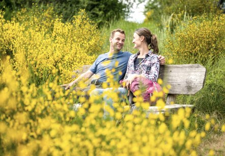 A couple sits smiling on a wooden bench, surrounded by blooming yellow broom in a green landscape., © Eifel Tourismus GmbH, Dominik Ketz