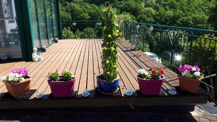 Eine sonnige Terrasse mit Holzbelag und bunten Blumentöpfen. In der Mitte steht eine hohe Pflanze, umgeben von verschiedenen bunten Blumen.