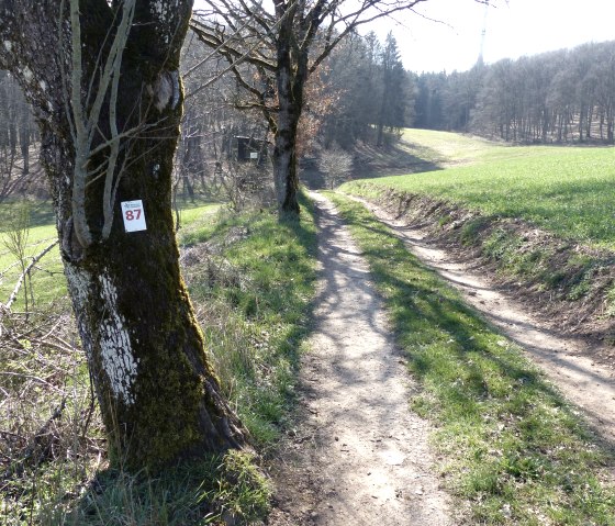 Wanderweg Nr. 87, &copy; Tourist-Info Islek