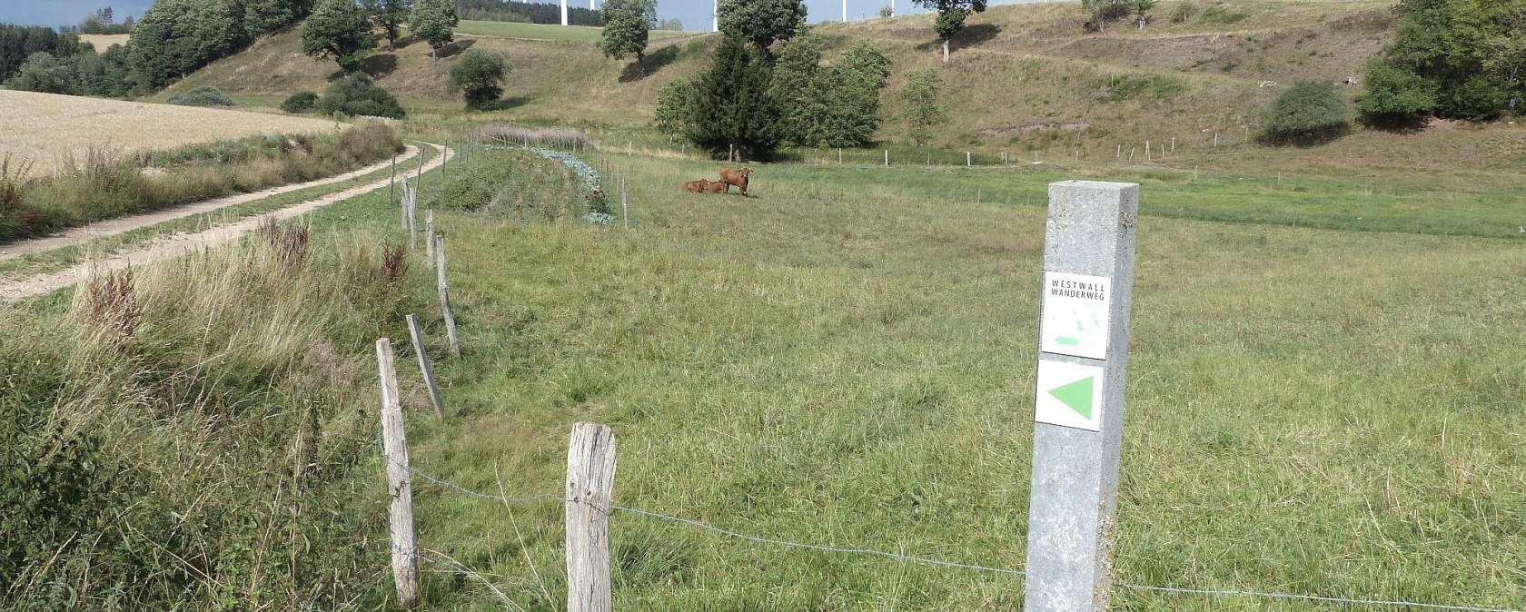 Westwall-Wanderweg bei Kesfeld, © Tourist-Information Islek