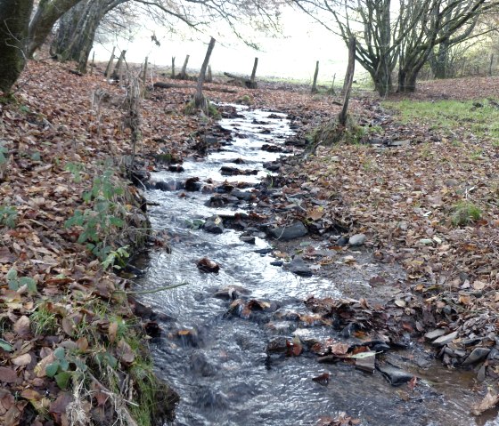 Millstream, © Tourist-Information Islek