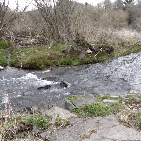 Irsen bei der Harspelter Mühle, © Tourist-Information Islek