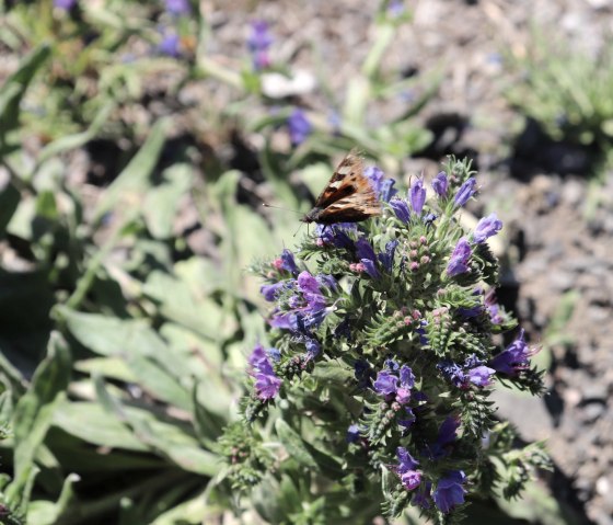 In the valley of butterflies, © Tourist-Information Islek
