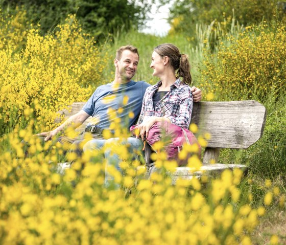 A couple sits smiling on a wooden bench, surrounded by blooming yellow broom in a green landscape., © Eifel Tourismus GmbH, Dominik Ketz