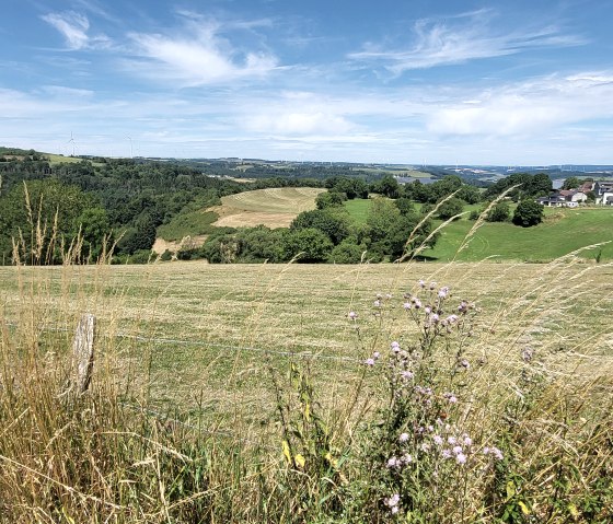 Fernlick vom Wanderweg bei Oberpierschied, © Tourist-Information Islek